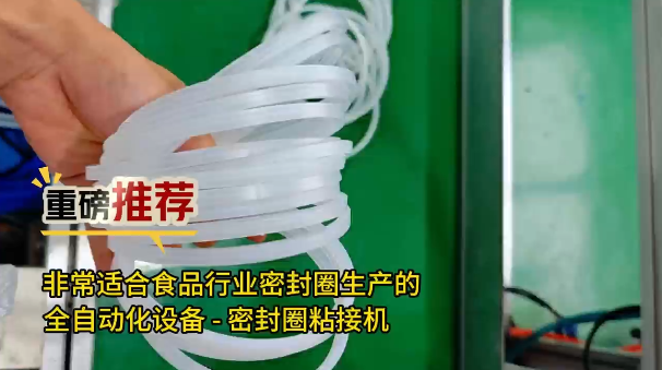 「視頻」重磅推薦！非常適合食品工業(yè)密封圈生產(chǎn)的全自動(dòng)化設(shè)備--密封圈粘接機(jī)