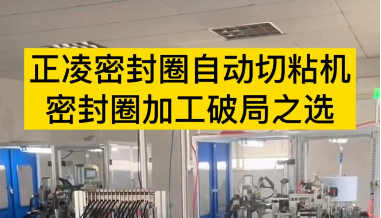 「視頻」正凌密封圈自動切粘機--密封圈加工破局之選！