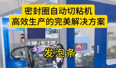 「視頻」密封圈自動切粘機，高效生產(chǎn)的完美解決方案